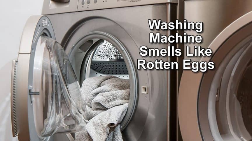Why Your Washing Machine Smells Like Rotten Eggs Solved,What Is A Caper Bush